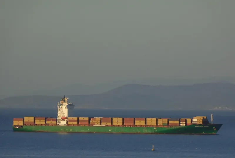 SINAR BALI Container Ship IMO 9181742