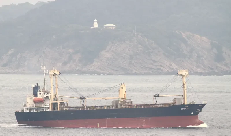 SUBARU 7 General Cargo IMO 9181819 photo 8