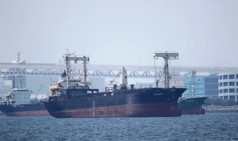 SUBARU 7 General Cargo IMO 9181819 photo 10