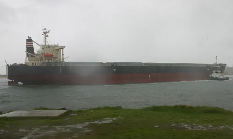 SHIROUMA Bulk Carrier IMO 9181895 photo 2