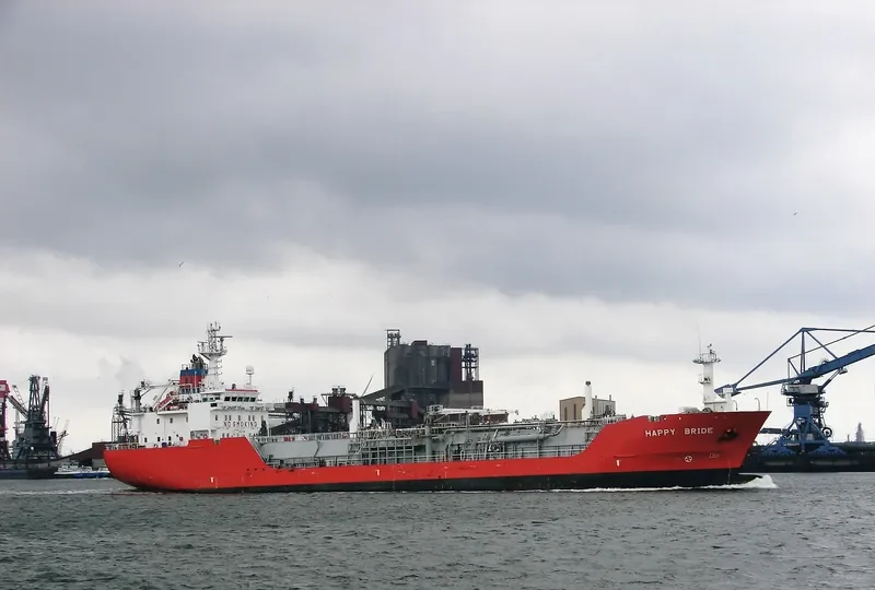 HAPPY BRIDE General Cargo IMO 9181900 photo 5