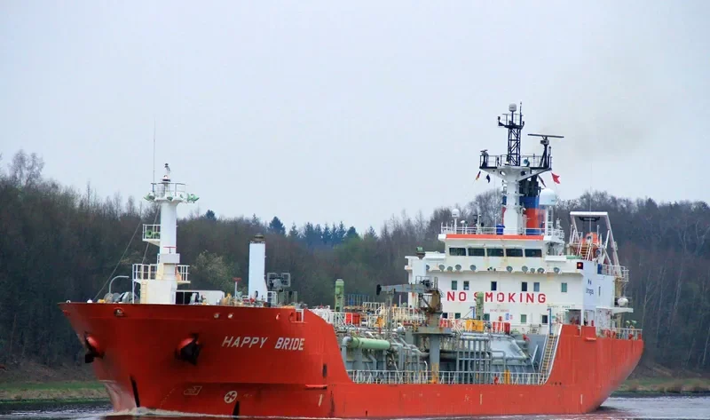 HAPPY BRIDE General Cargo IMO 9181900 photo 10