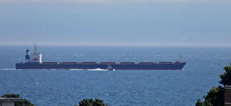 HUA JIANG 801 Bulk Carrier IMO 9182186 photo 8
