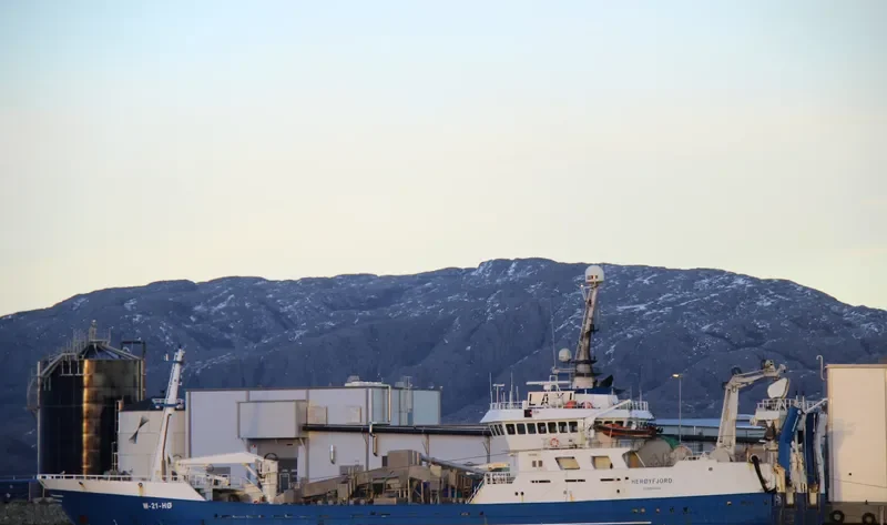 ROCKALL General Cargo IMO 9182320 photo 6