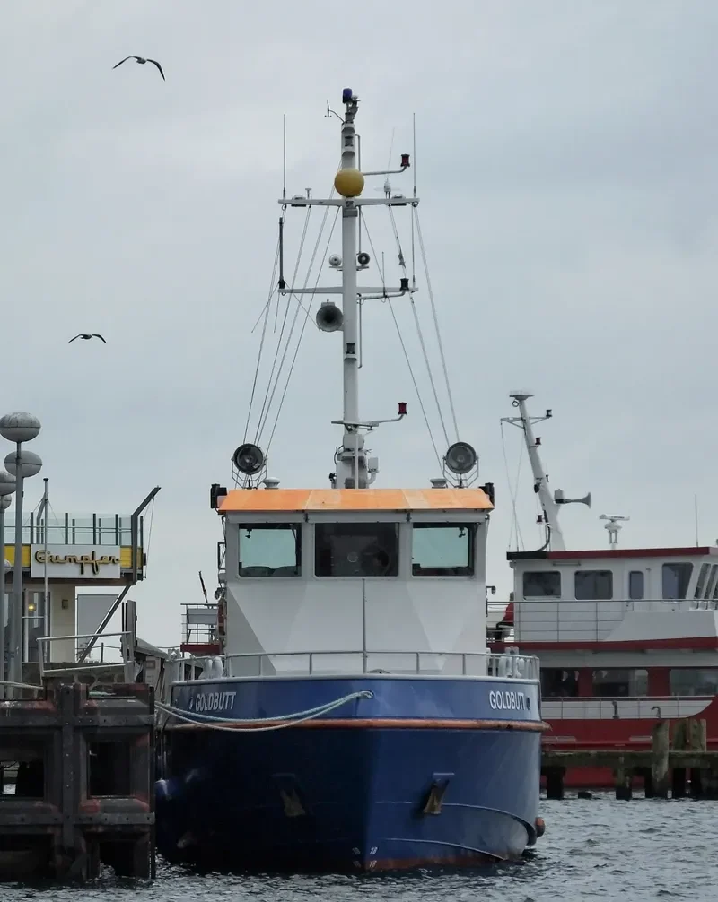 GOLDBUTT General Cargo IMO 9182382 photo 2