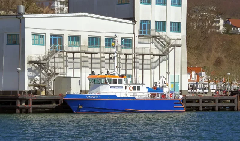 GOLDBUTT General Cargo IMO 9182382 photo 4
