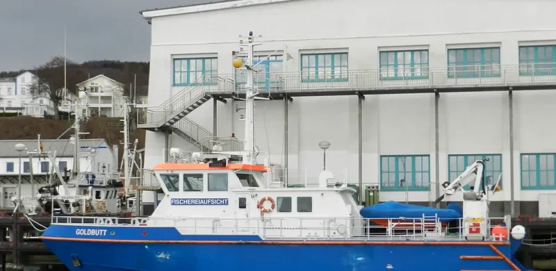 GOLDBUTT General Cargo IMO 9182382 photo 5
