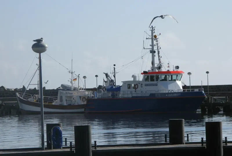 GOLDBUTT General Cargo IMO 9182382 photo 7