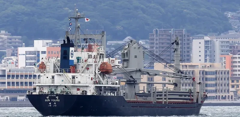 SUN YOUNG General Cargo IMO 9182411