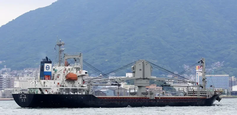 SUN YOUNG General Cargo IMO 9182411 photo 2