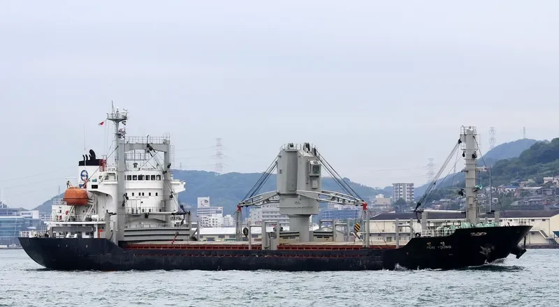 SUN YOUNG General Cargo IMO 9182411 photo 4