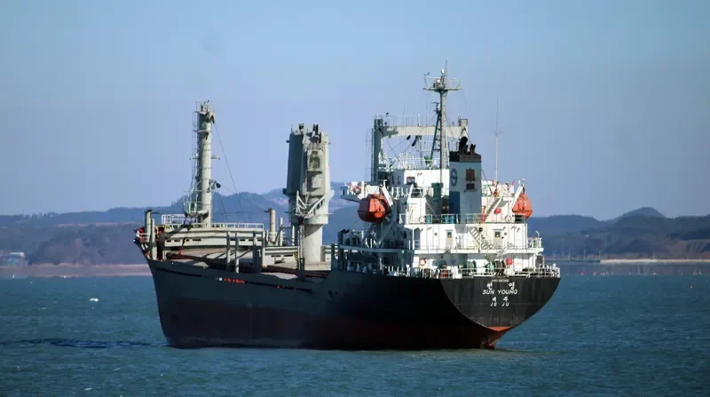 SUN YOUNG General Cargo IMO 9182411 photo 6