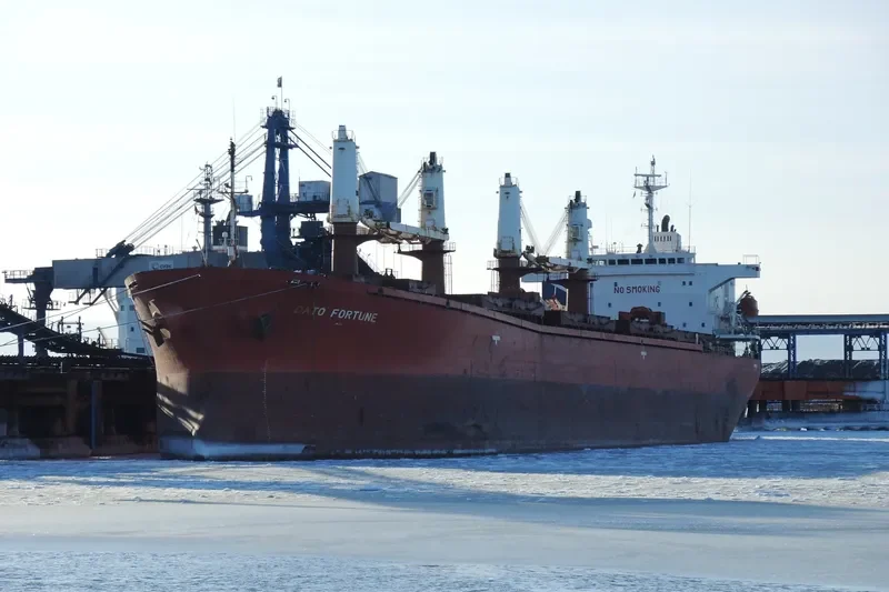 DATO FORTUNE Bulk Carrier IMO 9182461