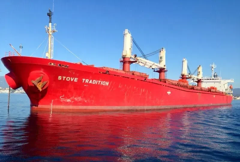 DATO FORTUNE Bulk Carrier IMO 9182461 photo 2