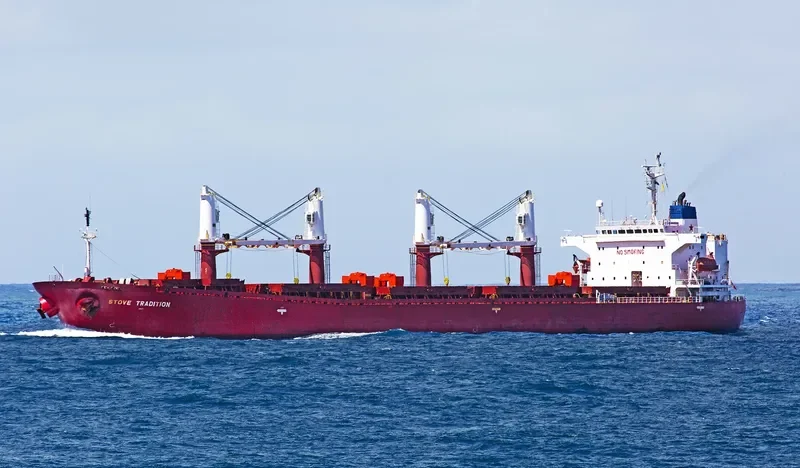 DATO FORTUNE Bulk Carrier IMO 9182461 photo 3