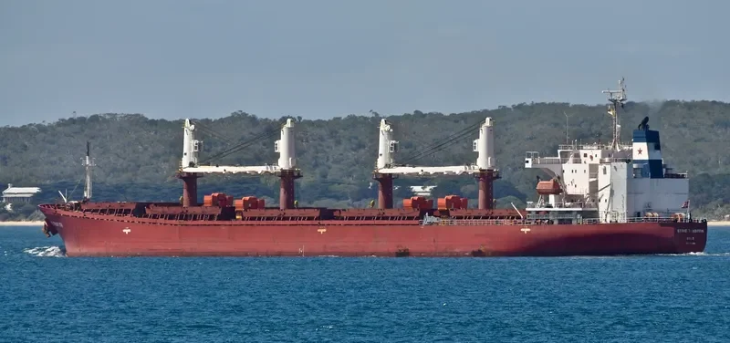 DATO FORTUNE Bulk Carrier IMO 9182461 photo 4