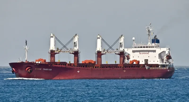 DATO FORTUNE Bulk Carrier IMO 9182461 photo 5