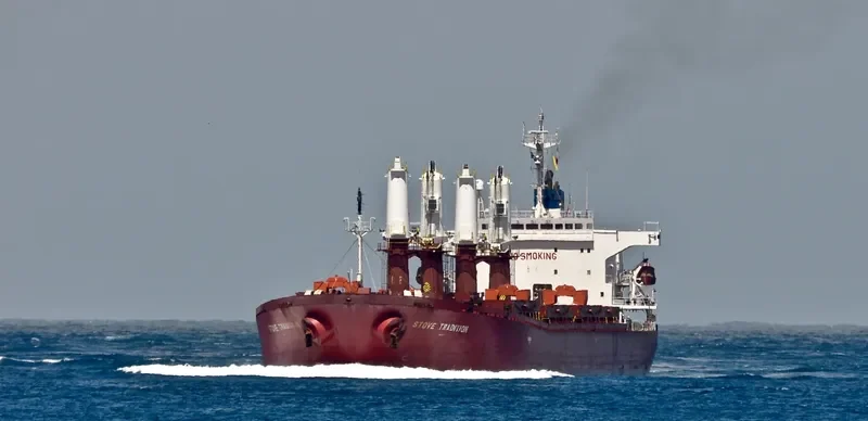 DATO FORTUNE Bulk Carrier IMO 9182461 photo 6