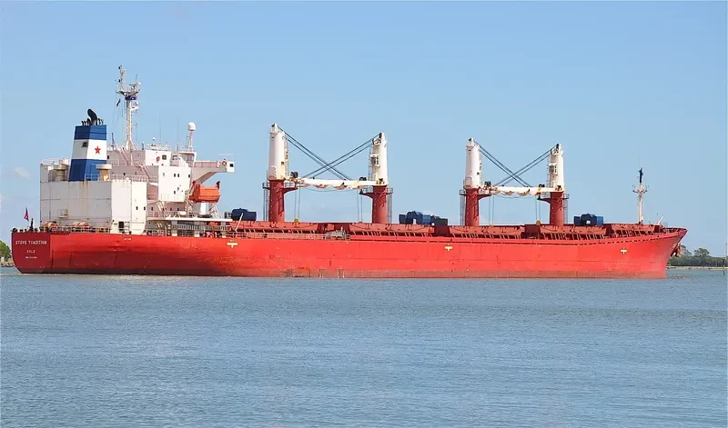 DATO FORTUNE Bulk Carrier IMO 9182461 photo 7