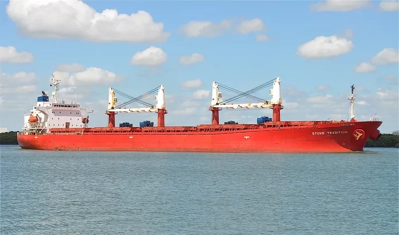 DATO FORTUNE Bulk Carrier IMO 9182461 photo 8