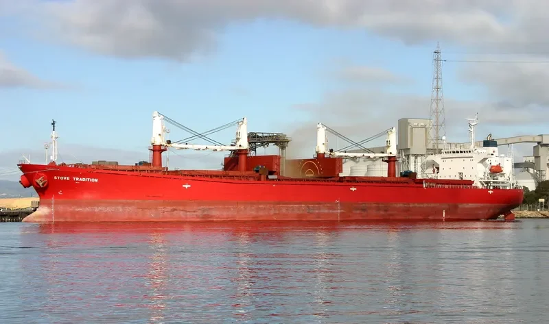 DATO FORTUNE Bulk Carrier IMO 9182461 photo 10