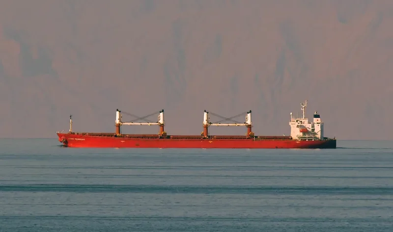 BEST BROTHERS Bulk Carrier IMO 9182473