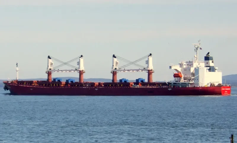 BEST BROTHERS Bulk Carrier IMO 9182473 photo 8