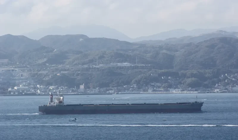 CAPE FLORA Bulk Carrier IMO 9182629