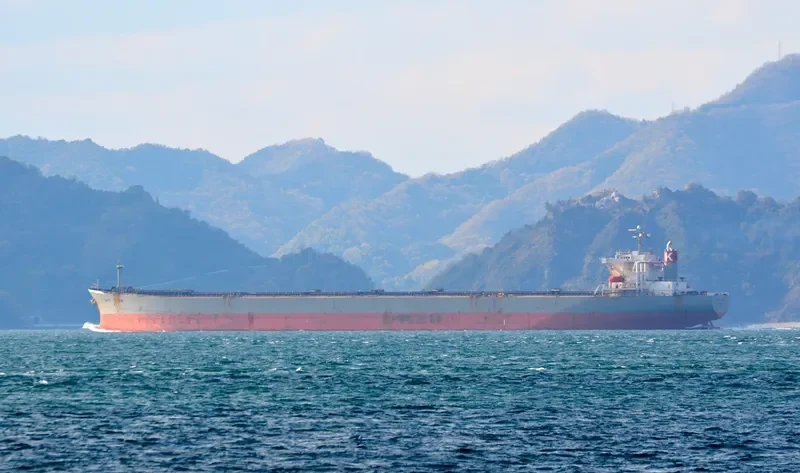 CAPE FLORA Bulk Carrier IMO 9182629 photo 2