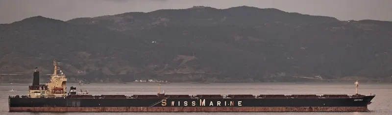 GINGO Bulk Carrier IMO 9182710