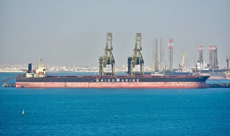 GINGO Bulk Carrier IMO 9182710 photo 3