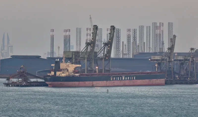 GINGO Bulk Carrier IMO 9182710 photo 4
