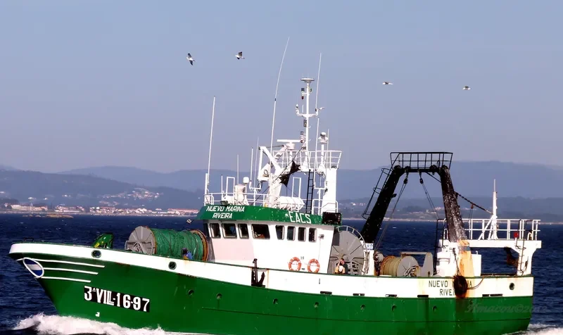 NUEVO MARINA General Cargo IMO 9183166 photo 4