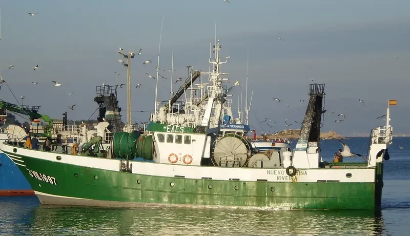 NUEVO MARINA General Cargo IMO 9183166 photo 5