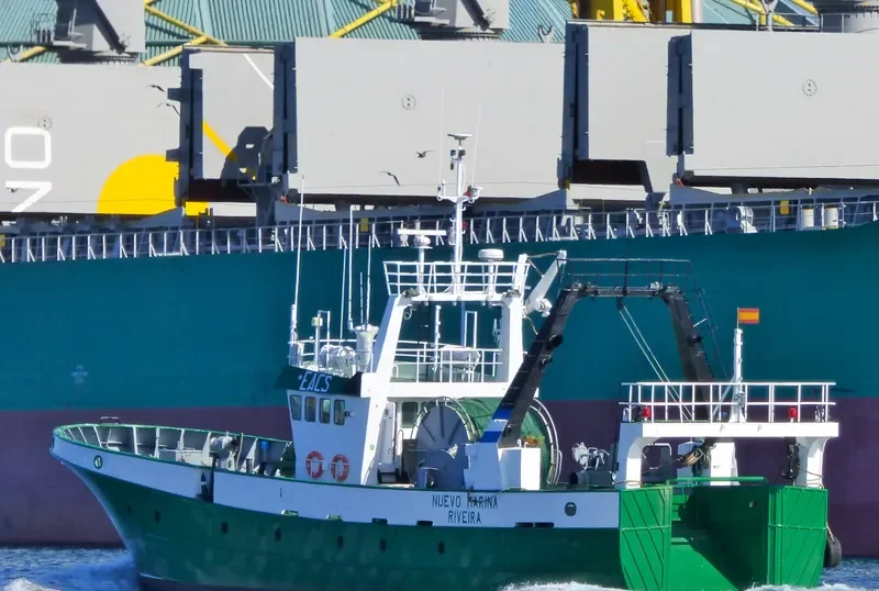 NUEVO MARINA General Cargo IMO 9183166 photo 8