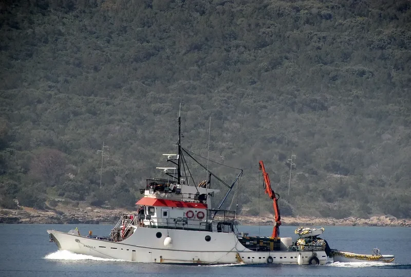 RADULA General Cargo IMO 9183180