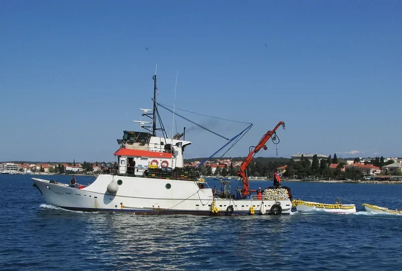RADULA General Cargo IMO 9183180 photo 3