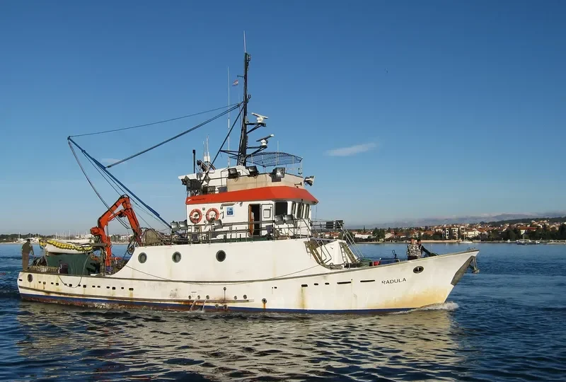 RADULA General Cargo IMO 9183180 photo 5