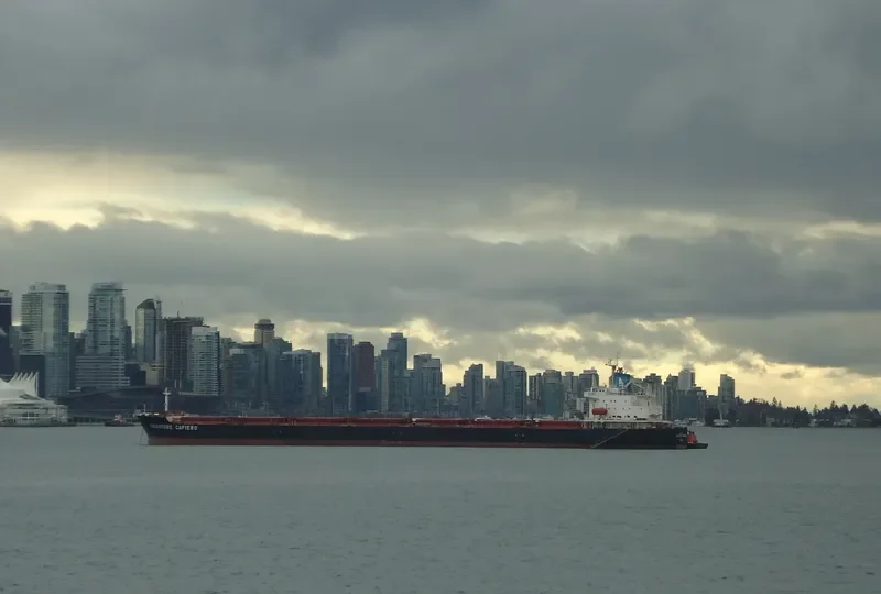 XIN WU ZHOU 1 Bulk Carrier IMO 9183221 photo 3