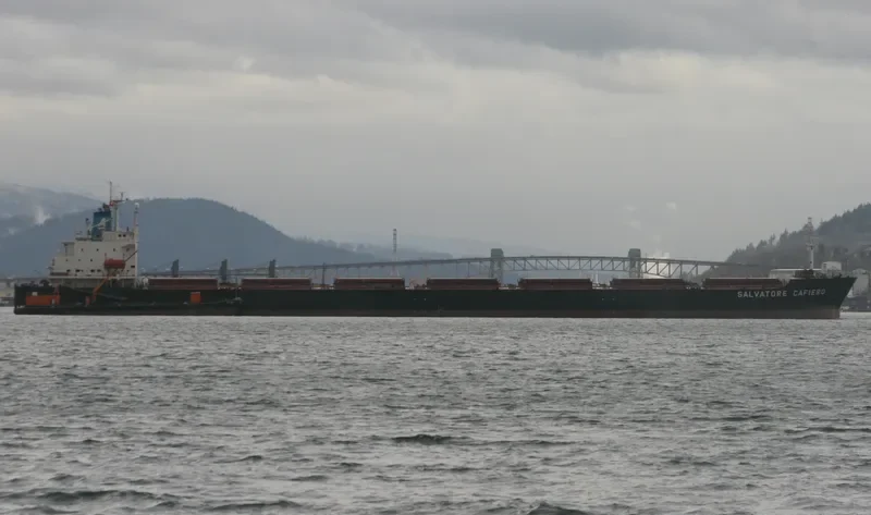 XIN WU ZHOU 1 Bulk Carrier IMO 9183221 photo 4