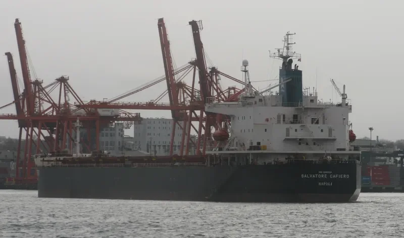 XIN WU ZHOU 1 Bulk Carrier IMO 9183221 photo 5