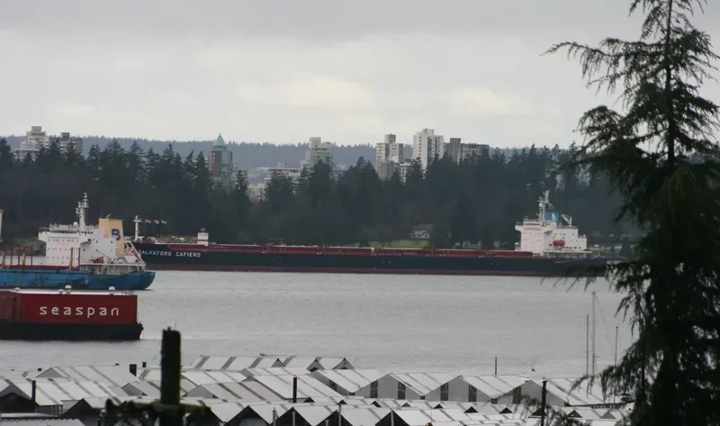XIN WU ZHOU 1 Bulk Carrier IMO 9183221 photo 6