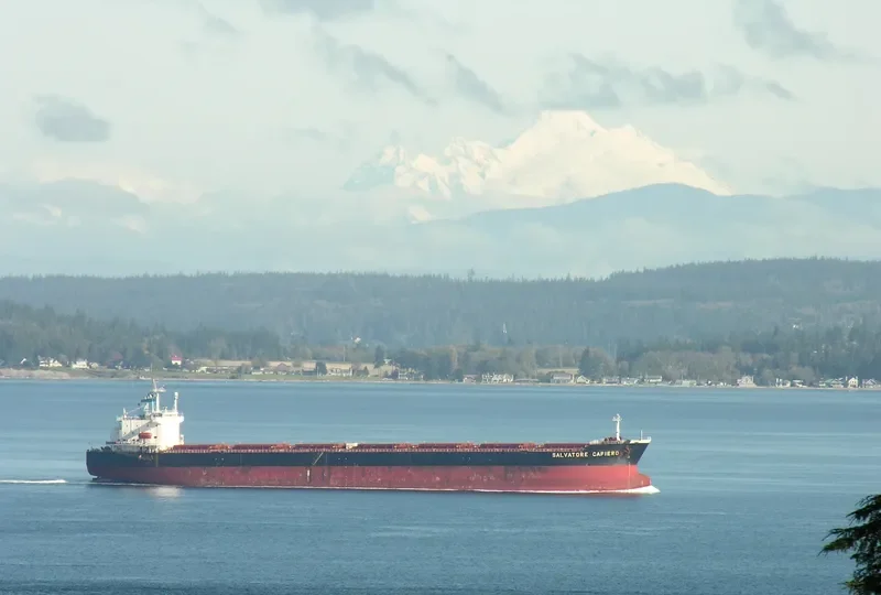 XIN WU ZHOU 1 Bulk Carrier IMO 9183221 photo 8