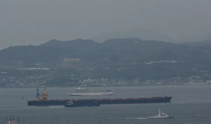 SILVER GENEVA Bulk Carrier IMO 9183336 photo 3