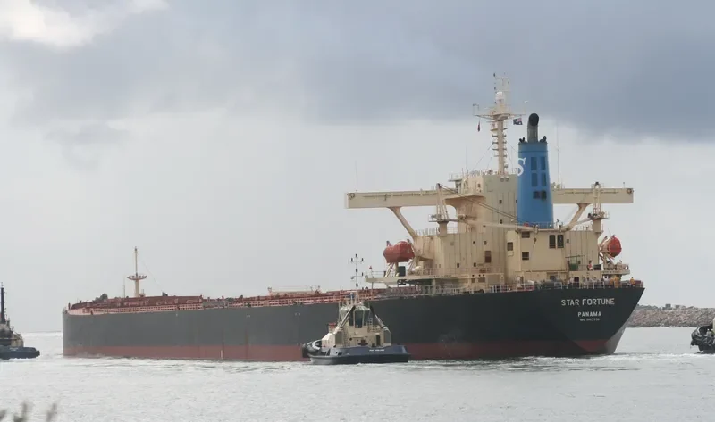 SILVER GENEVA Bulk Carrier IMO 9183336 photo 4