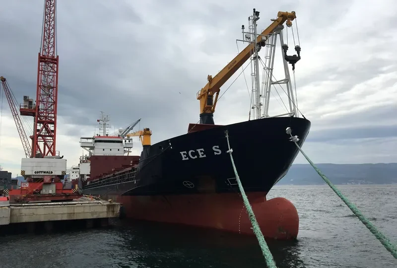 ECE S General Cargo IMO 9183489