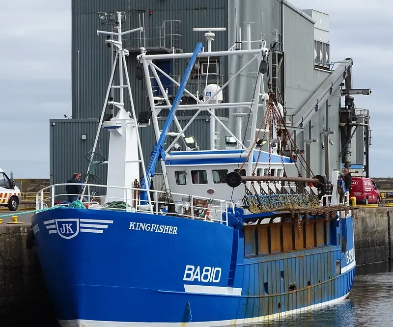 KINGFISHER General Cargo IMO 9183714 photo 3
