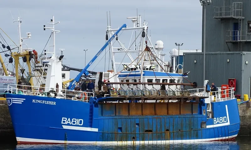KINGFISHER General Cargo IMO 9183714 photo 5