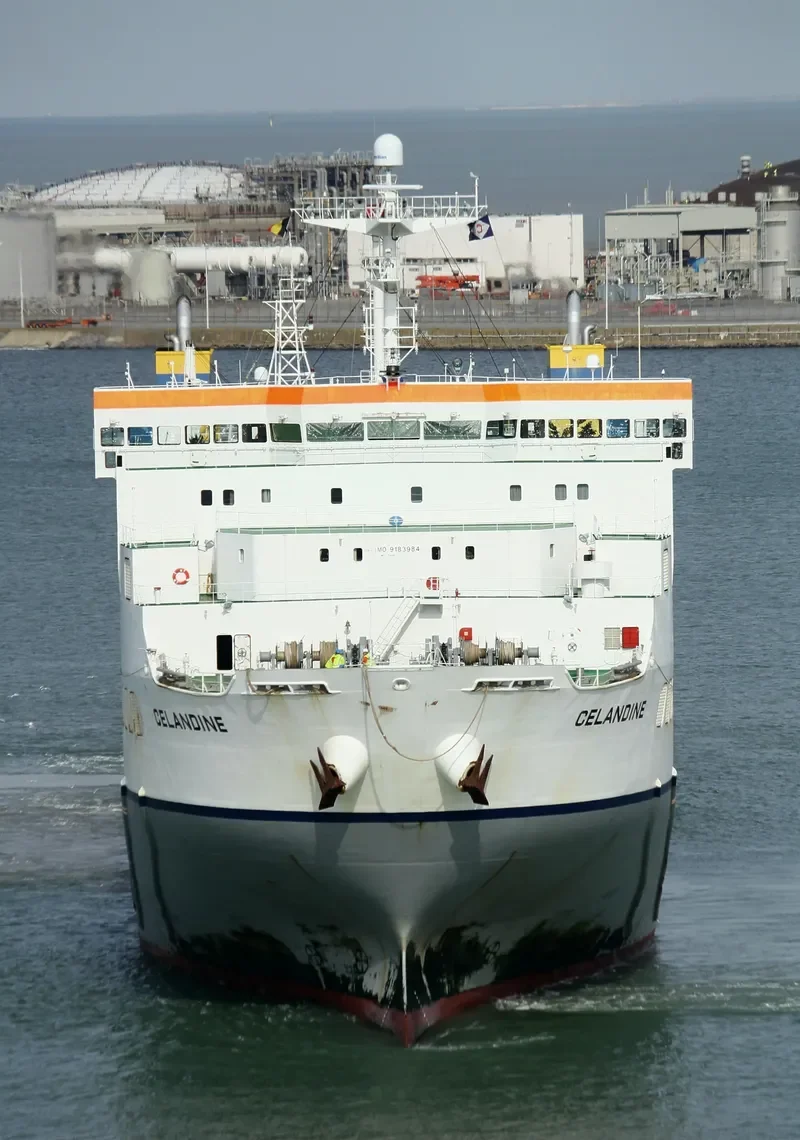 CELANDINE Ro-Ro IMO 9183984 photo 2