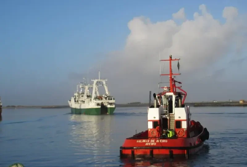 SALINAS DE AVEIRO General Cargo IMO 9184275 photo 8